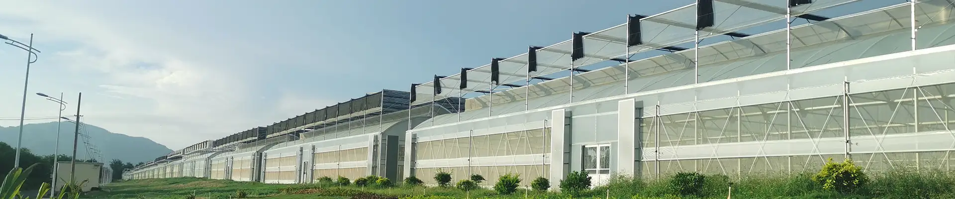 پی سی گرین ہاؤس