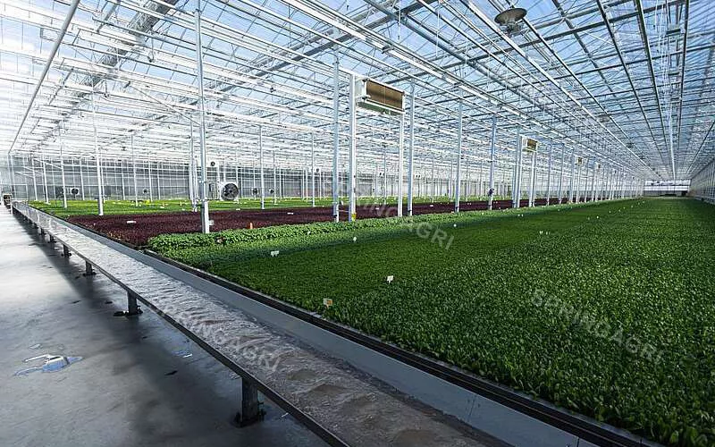 greenhouse solutions